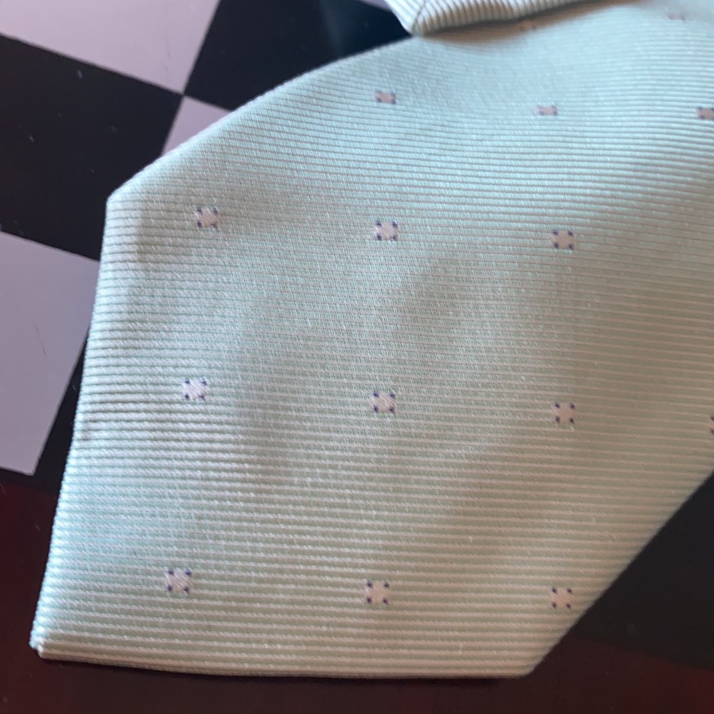 NWT DKNY Mint Tie